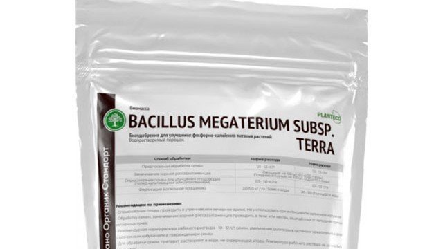 Bacillus Megaterium Organic Kupit Tovary V Voronezh Obyavleniya Na Rosagrodel